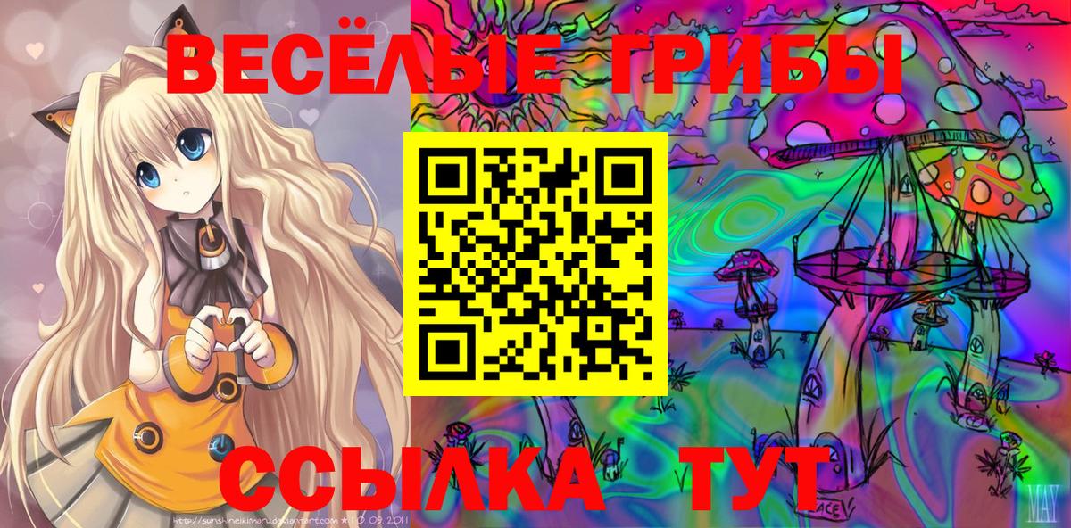 Псилоцибиновые грибы Psilocybine cubensis  Вход с VPN  Кингисепп 
