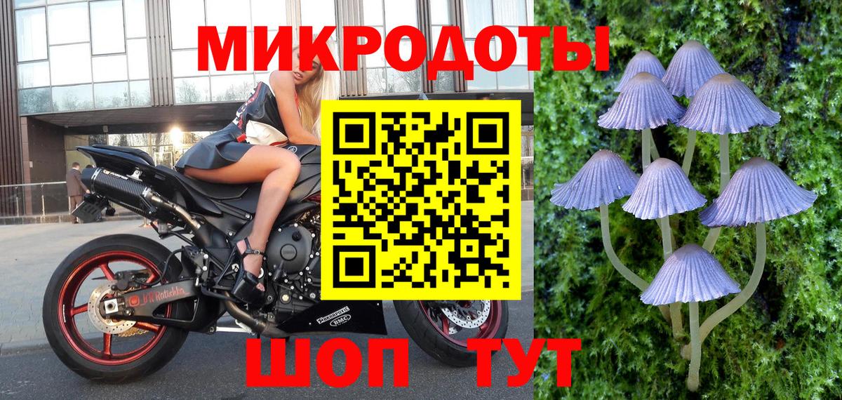 Галлюциногенные грибы мухоморы Кингисепп